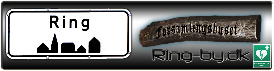 Logo for Ring Borger